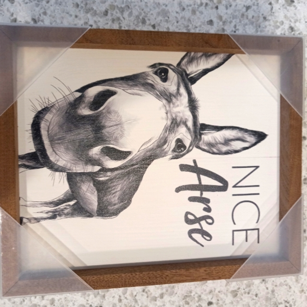 Funny Donkey "Nice Arse" wall decor.